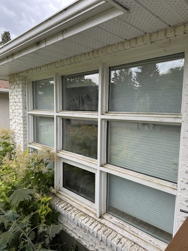 Before window cleaning